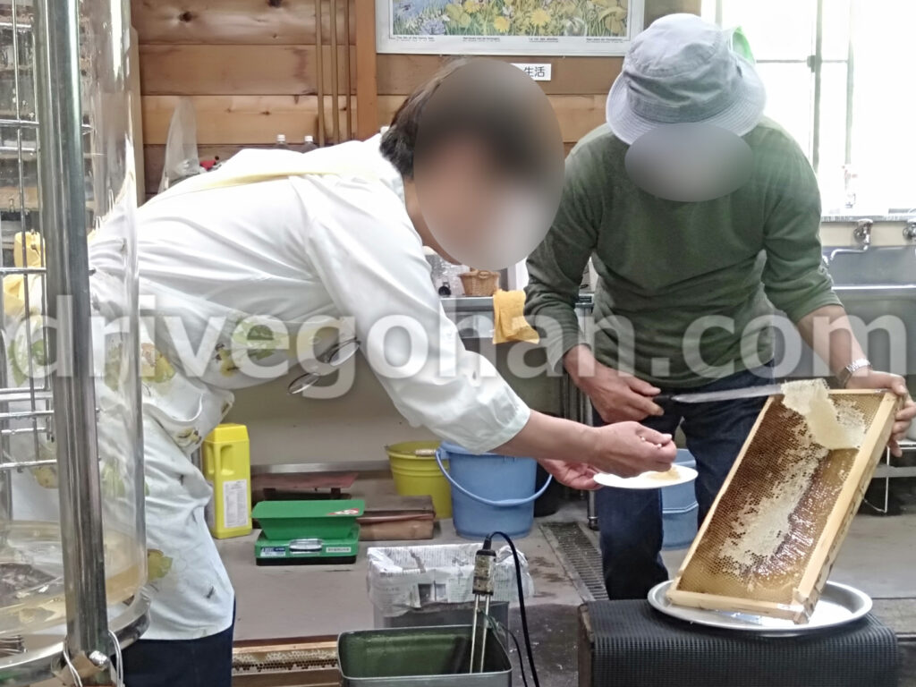 愛知県 養蜂博物館で巣付き蜂蜜