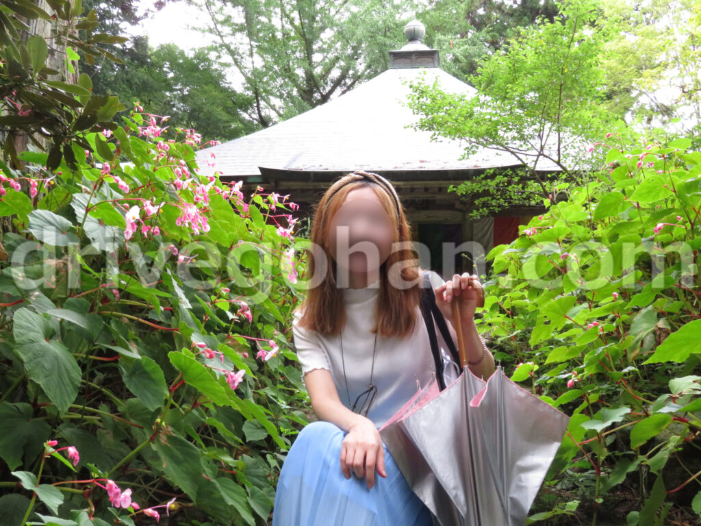 岩湧寺 秋海棠とお堂の写真