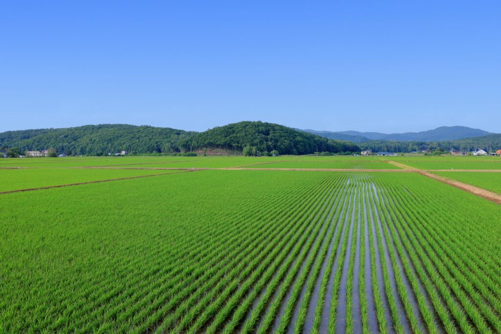 佐賀県の見どころ